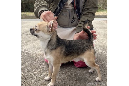 ジローマルくん1枚目