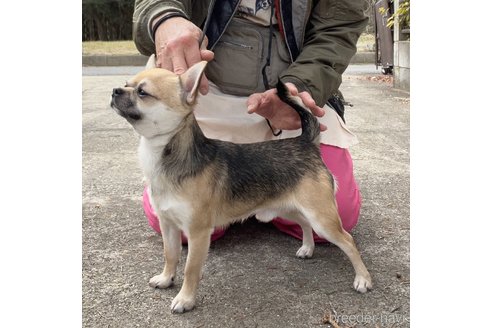 ジローマルくん1枚目