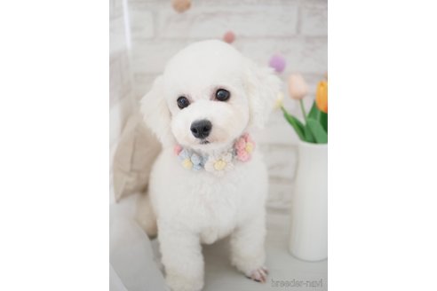 エルサちゃん1枚目