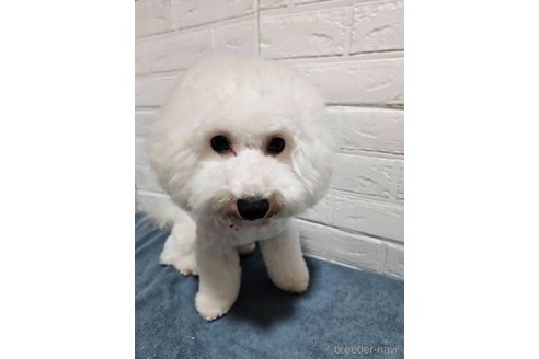 ののちゃん1枚目