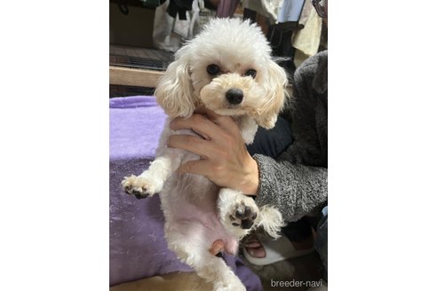 ちゃん1枚目