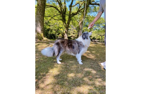 葡萄ちゃん1枚目