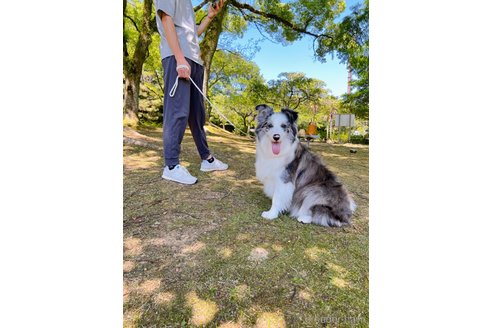 葡萄ちゃん1枚目
