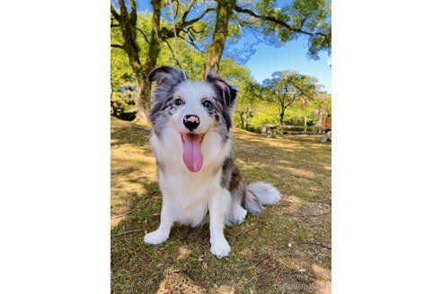葡萄ちゃん1枚目