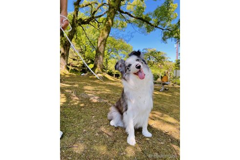 葡萄ちゃん1枚目