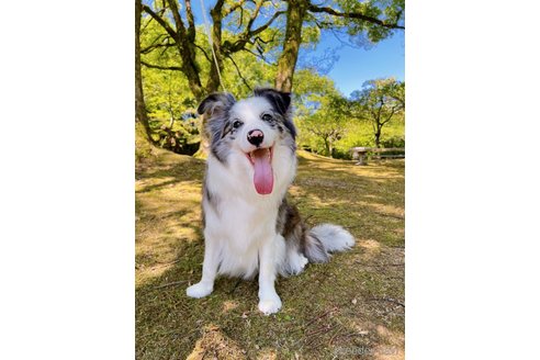 葡萄ちゃん1枚目