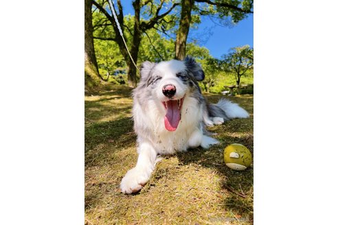 葡萄ちゃん1枚目