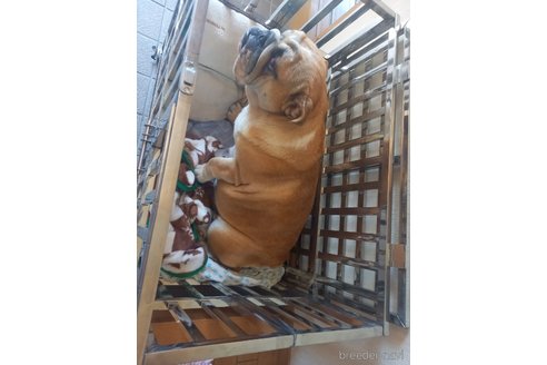 まりんちゃん1枚目