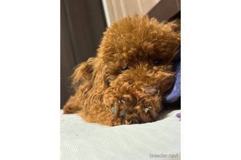 くん1枚目