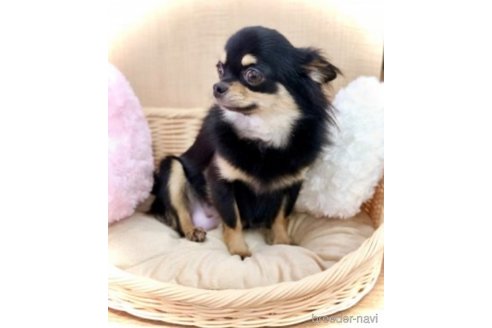 みちるちゃん1枚目