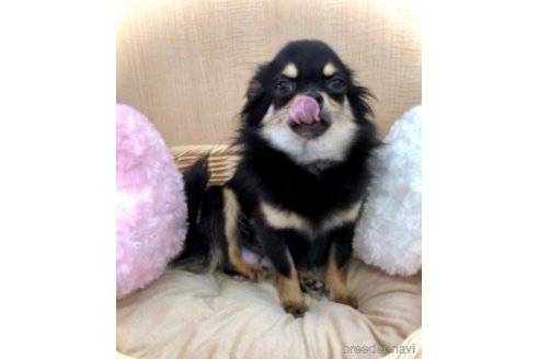 みちるちゃん1枚目
