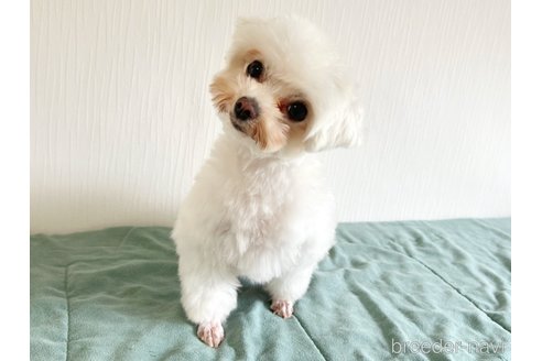アナちゃん1枚目