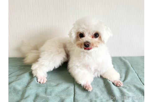 アナちゃん1枚目