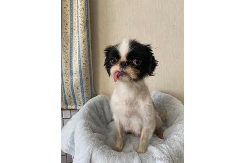 ちゃん1枚目