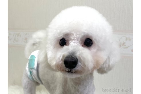 サンタくん1枚目
