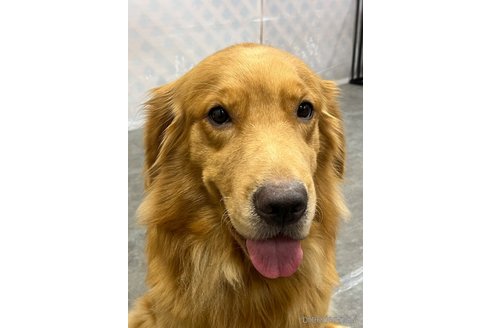 ジャムちゃん1枚目