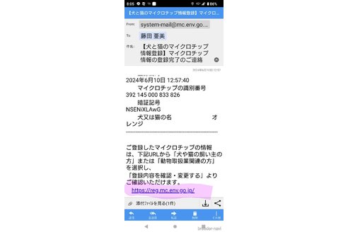 成約済の長野県のオーストラリアンシェパード-302175の2枚目