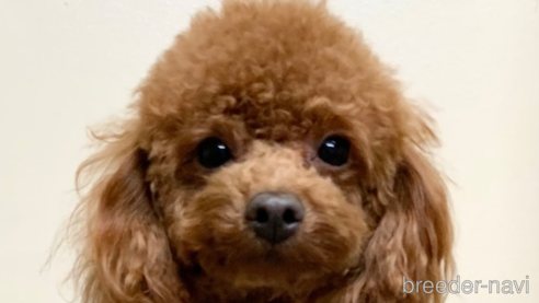 BONくん1枚目