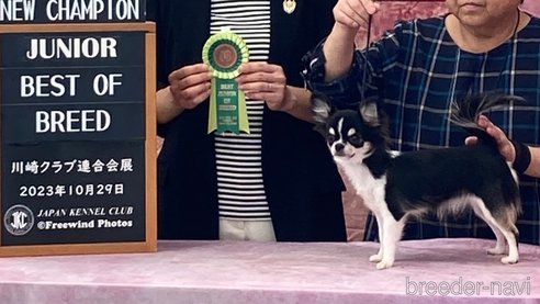 いちごちゃん1枚目