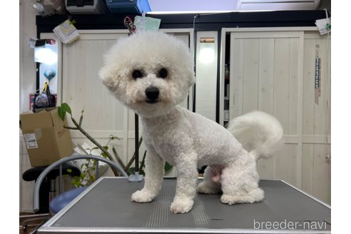 おこめちゃんくん1枚目