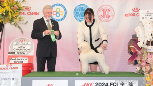 ウイちゃん1枚目