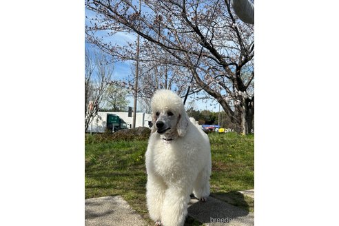 テアちゃん1枚目