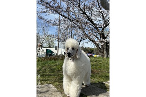 テアちゃん1枚目