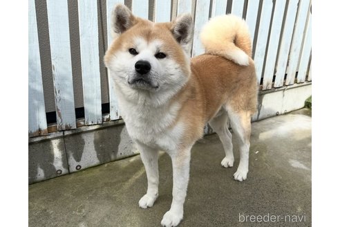 虎太郎くん1枚目