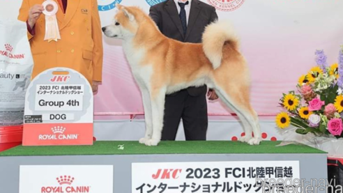 虎太郎くん1枚目
