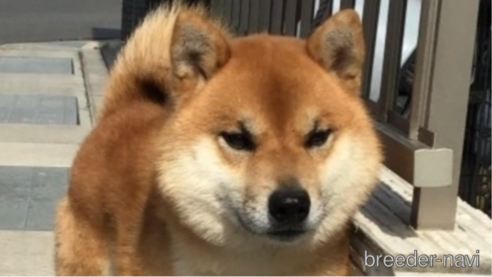 羅　皇くん1枚目