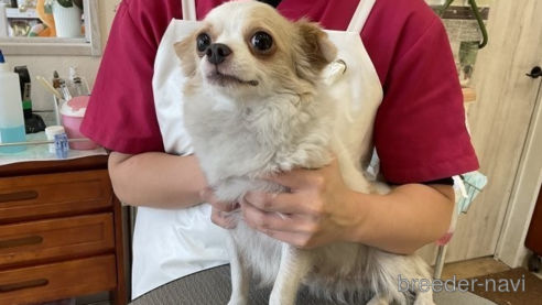 クリちゃん1枚目
