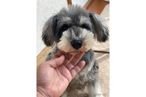 あんこちゃん1枚目