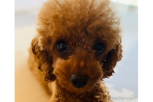 リオちゃん1枚目
