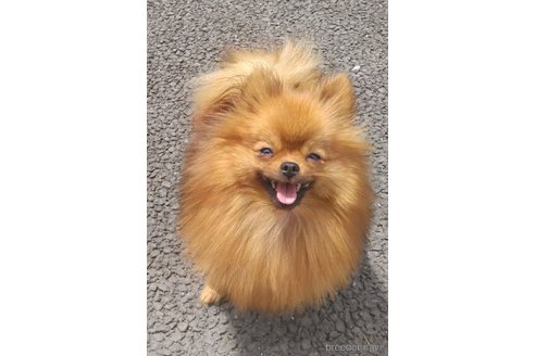 いちごちゃん1枚目