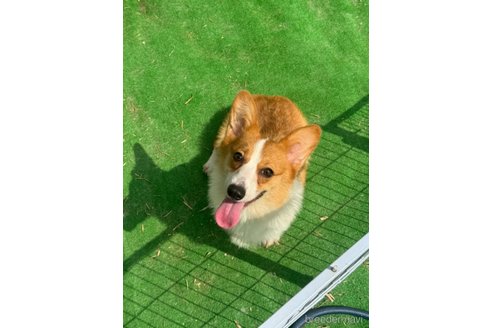 ちゃん1枚目