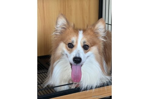 くん1枚目