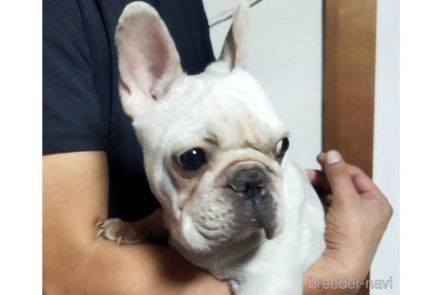 ペコちゃん1枚目