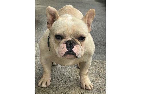 フクくん1枚目