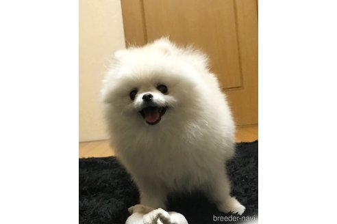 くん1枚目