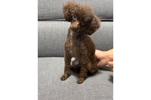 ピノくん1枚目
