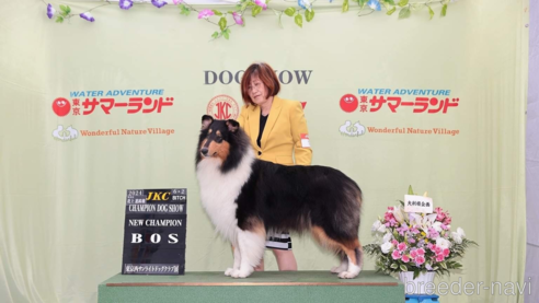 アシュリーちゃん1枚目