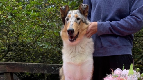 タラちゃん1枚目