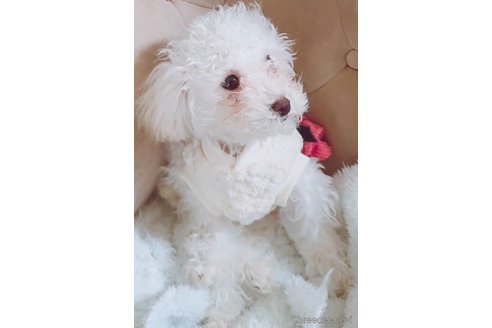 ちゃん1枚目