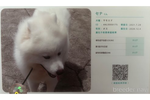 ちゃん1枚目