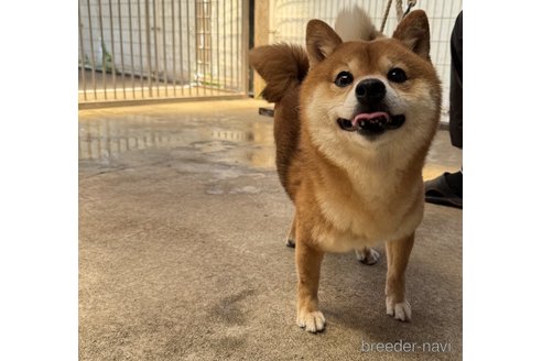 くん1枚目