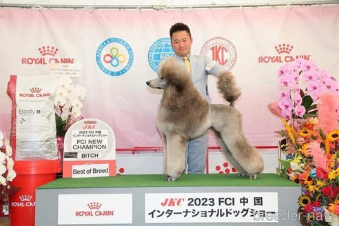 イチゴちゃん1枚目