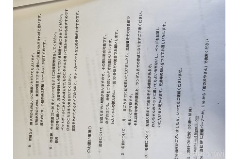 成約済の愛知県のイタリアングレーハウンド(イタグレ)-318511の2枚目