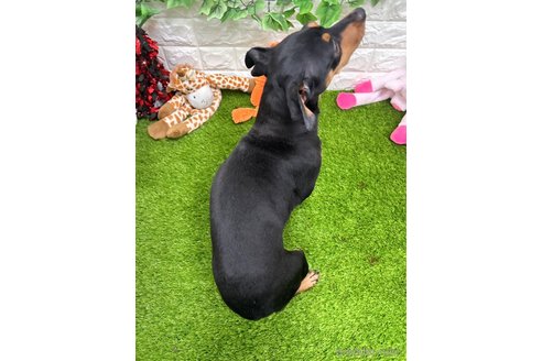 ジョナちゃん1枚目