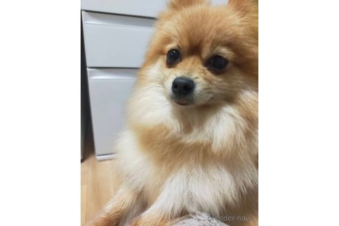 テトちゃんちゃん1枚目