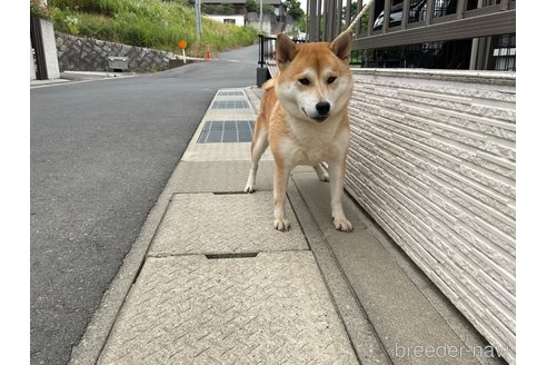 ちゃん1枚目